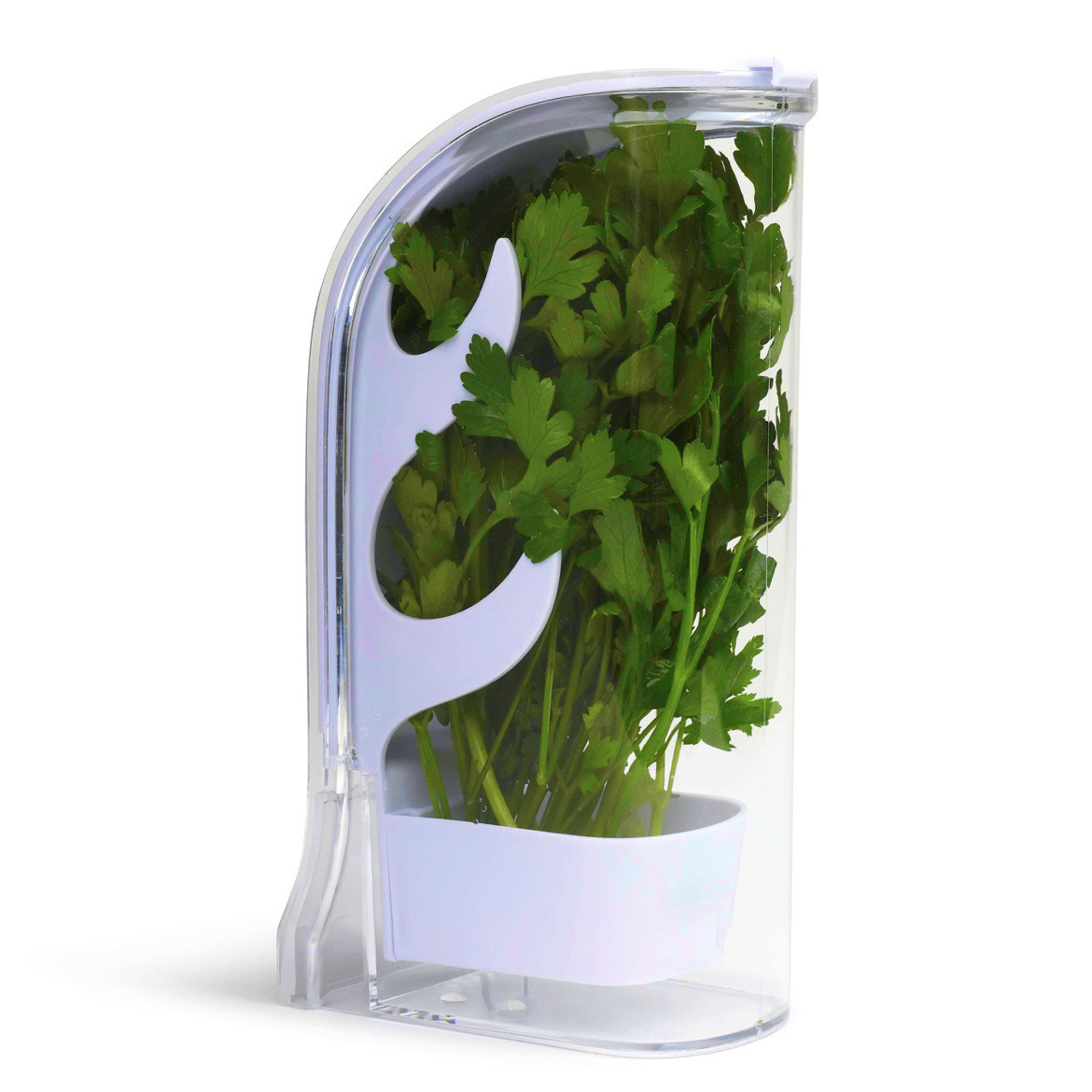 Herb Keeper Bottle - Bac à légumes pour herbes, récipient