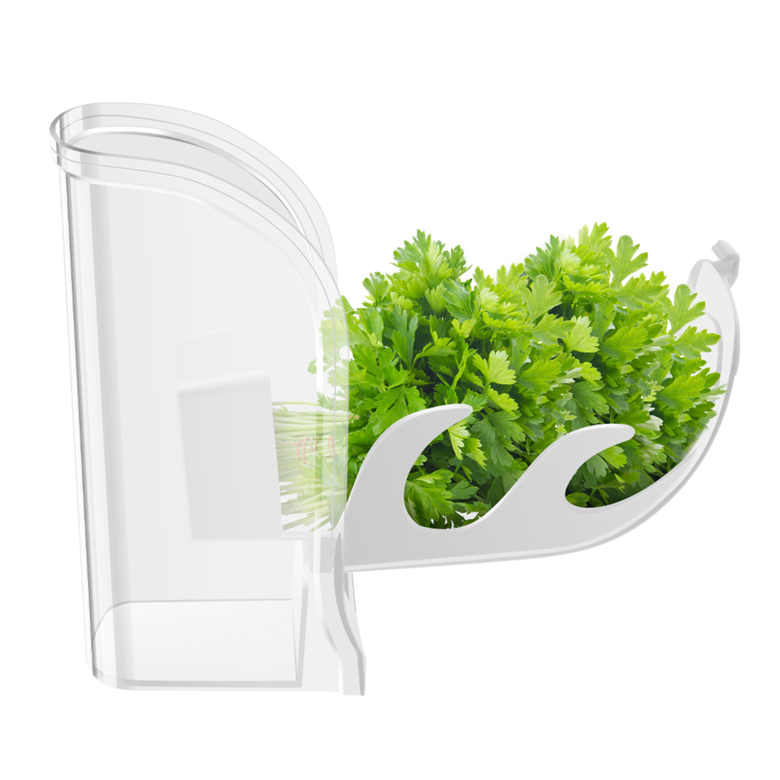Bac à légumes pour herbes, réc - Herb Keeper Bottle avis et prix