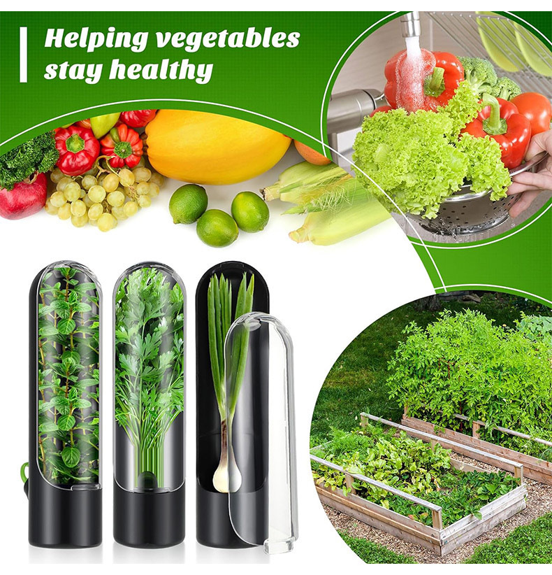 Bouteille de conservation des  - Herb Keeper Bottle avis et prix
